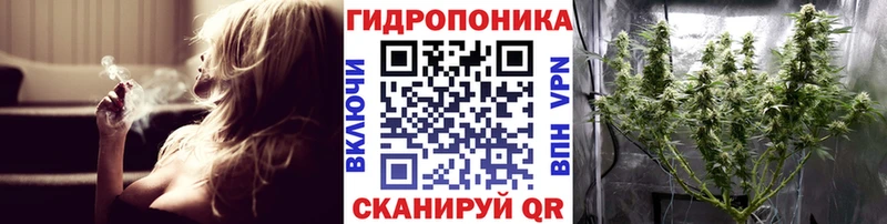 Шишки марихуана марихуана  Купить закладки  Коломна 